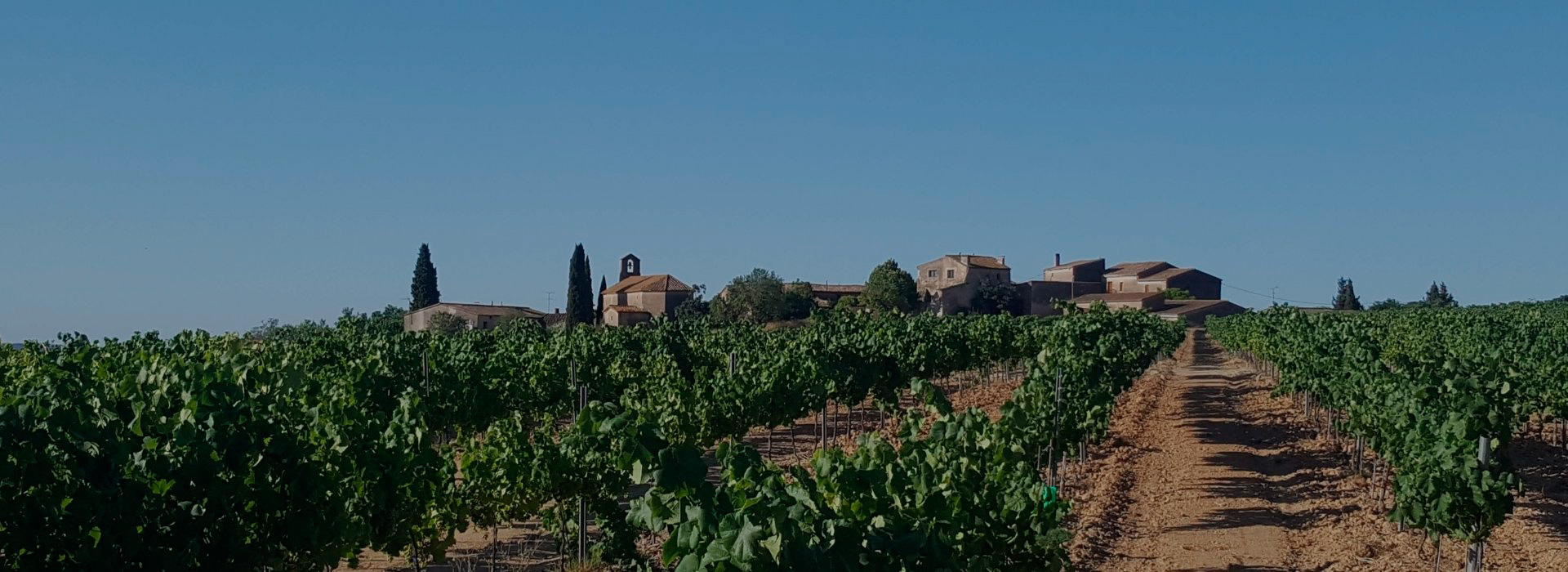 punt's d'interès Sant Martí Sarroca